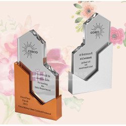  水晶獎盃－2H-CY169